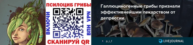 продажа наркотиков  Усть-Катав  Галлюциногенные грибы Magic Shrooms 